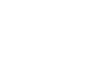 Flotas de colectivos