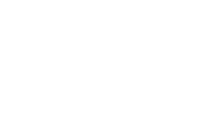 Flotas privadas de transfers